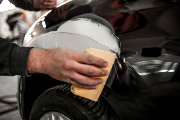 Best Mold Damage Restoration  in South Monroe, MI