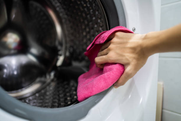 South Monroe, MI Mold Removal Company