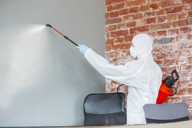 Best Biohazard Mold Removal  in South Monroe, MI