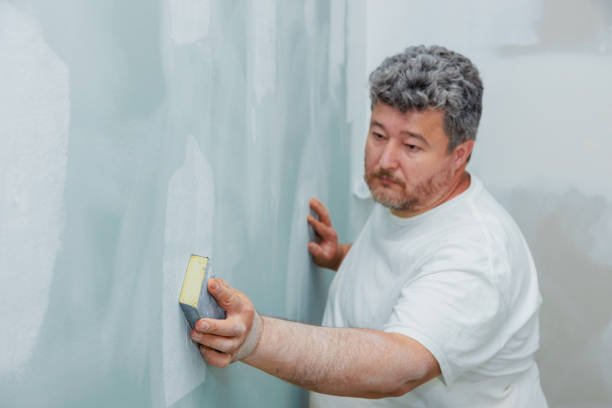 Best Industrial Mold Remediation  in South Monroe, MI