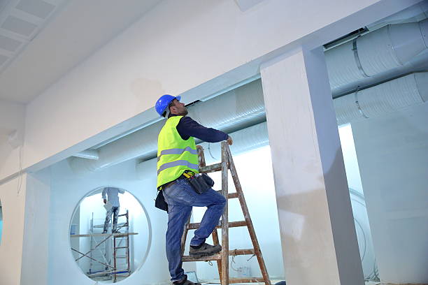 Best Asbestos and Lead Testing During Mold Inspection  in South Monroe, MI