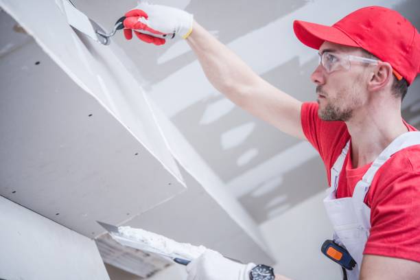 Best Post-Construction Mold Inspection  in South Monroe, MI